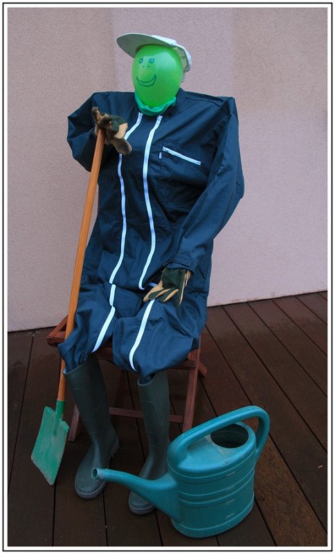 GN_Vert sans verdure.jpg.jpg